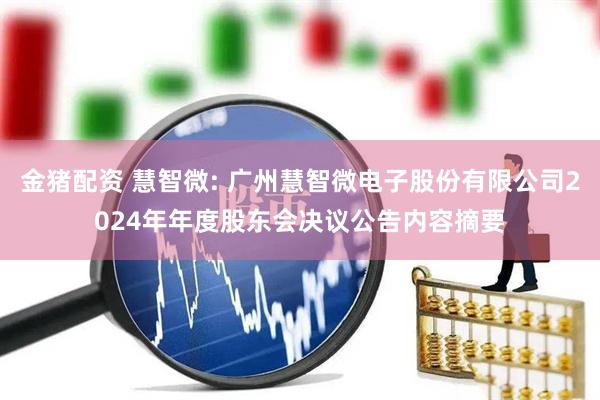 金猪配资 慧智微: 广州慧智微电子股份有限公司2024年年度股东会决议公告内容摘要