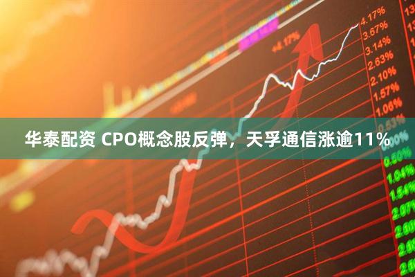 华泰配资 CPO概念股反弹，天孚通信涨逾11%