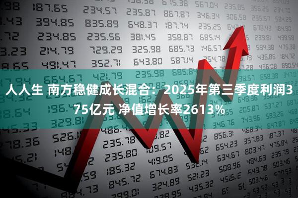 人人生 南方稳健成长混合：2025年第三季度利润375亿元 净值增长率2613%
