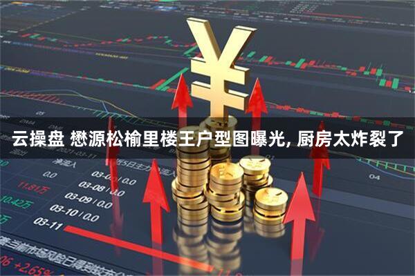 云操盘 懋源松榆里楼王户型图曝光, 厨房太炸裂了